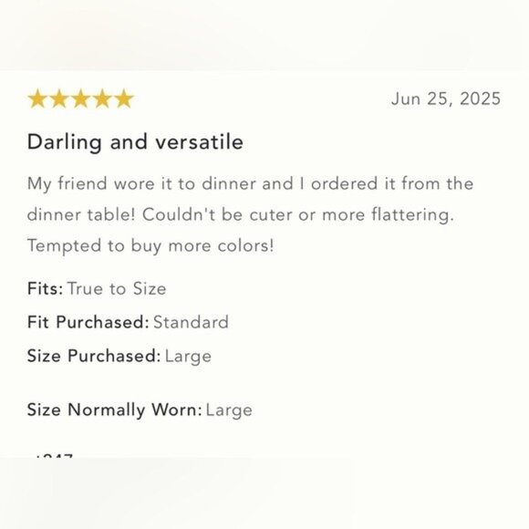 NWT Size XXS - The Chéri Ruffled Tulle Midi Skirt by Anthropologie (NWT US$ 158) - Picture 6 of 13